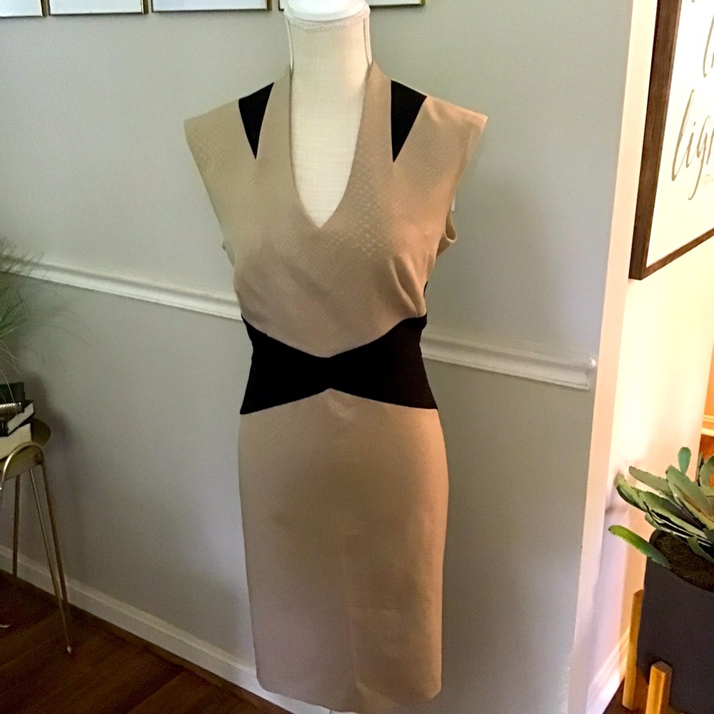 Sandra Darren Dress